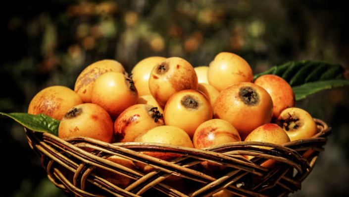 Festival del Níspero de Lunahuaná – Hommage an eine goldene Frucht