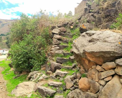 Huellas fósiles de camélidos sudamericanos en Andamarca – Rastros de la profundidad del tiempo sobre los andenes Huellas fósiles de camélidos sudamericanos en Andamarca – Rastros de la profundidad del tiempo sobre los andenes
