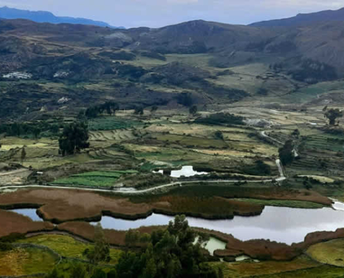 Laguna de Qoricancha (Occeccocha) – Laguna dorada, espejos grises y aves migratorias en Andamarca Laguna de Qoricancha (Occeccocha) – Laguna dorada, espejos grises y aves migratorias en Andamarca