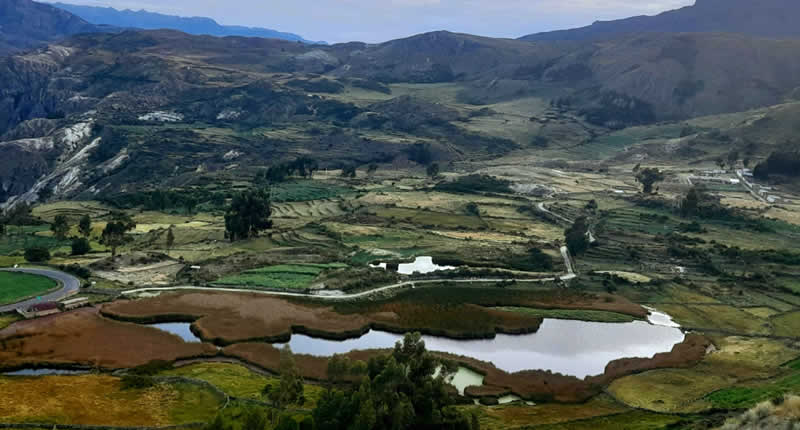 Laguna de Qoricancha (Occeccocha) – Lago altoandino y refugio de aves migratorias en Andamarca