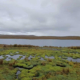 Laguna de Tuctubamba – Hochandine Lagune zwischen Cordillera Blanca & Pampas
