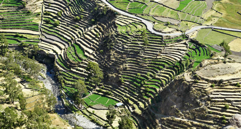 Sistema de Andenerías de Andamarca – Obra maestra wari en el Valle del Sondondo
