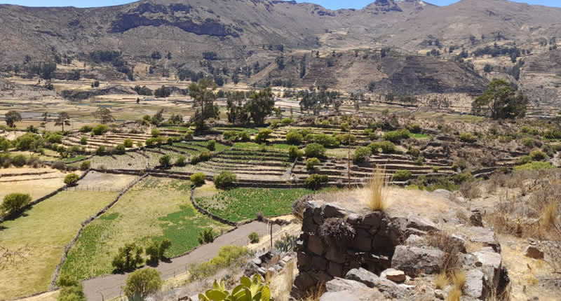 Sitio Arqueológico de Ninaquero – Pucullos con vista al valle del Sondondo
