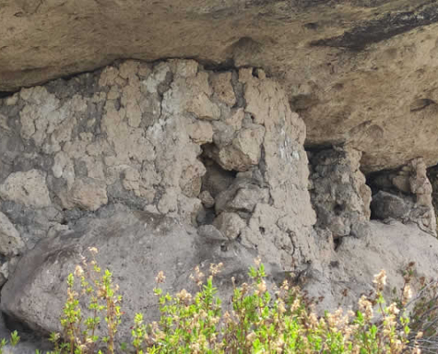 Sitio arqueológico Tinkuy Kuchu – Bosque pétreo de los ancestros en las alturas de Ayacucho Sitio arqueológico Tinkuy Kuchu – Bosque pétreo de los ancestros en las alturas de Ayacucho