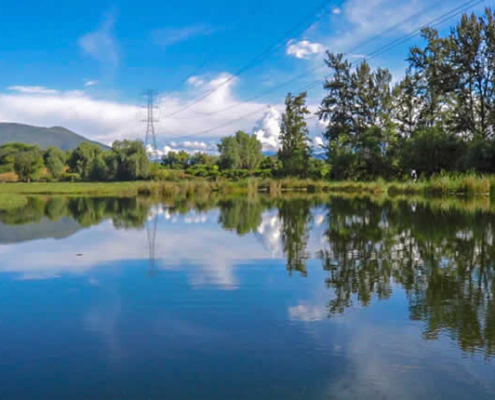 Feuchtgebiet de Huaper – grünes Rückzugsgebiet in Azángaro, Luricocha