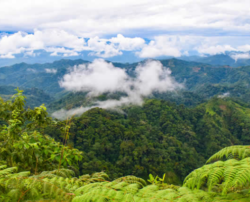 Mirador Junín Libertad – Panoramaaussicht über die Selva del VRAEM Mirador Junín Libertad – Panoramaaussicht über die Selva del VRAEM