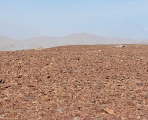 Pampas de La Joya: Atacama-Dünen, Marslandschaften & Abenteuer westlich von Arequipa Pampas de La Joya: Atacama-Dünen, Marslandschaften & Abenteuer westlich von Arequipa