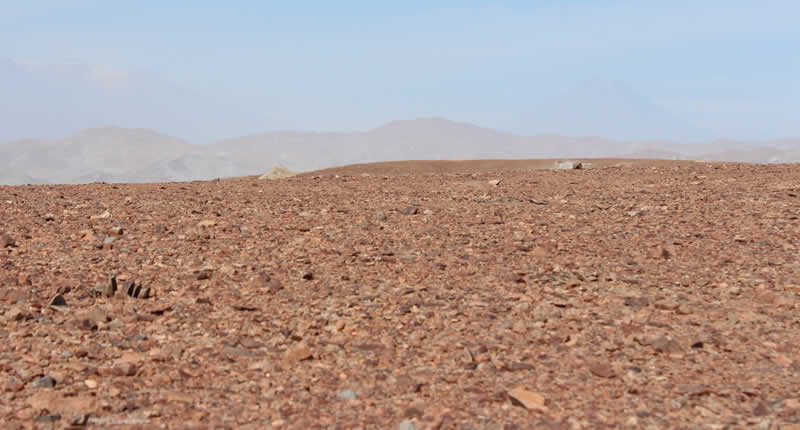 Pampas de La Joya: Atacama-Dünen, Marslandschaften & Abenteuer westlich von Arequipa