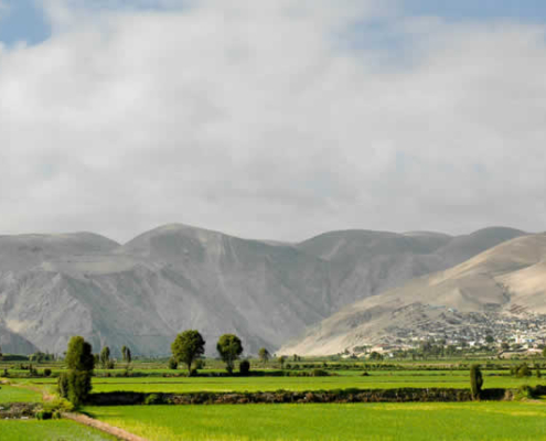 Valle del Río Camaná: Fruchtbarkeit zwischen Wüste, Fluss und Pazifik