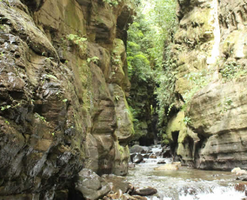 Arco Punco – spektakulärer Natursteinbogen am Río Tambopata Arco Punco – spektakulärer Natursteinbogen am Río Tambopata