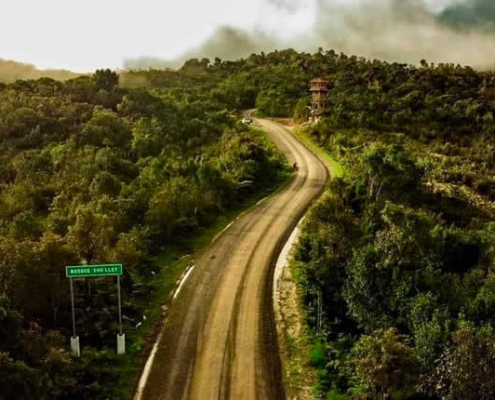 Área de Conservación Ambiental Bosque de Sho’llet – Nebelwald zwischen Oxapampa und Villa Rica Área de Conservación Ambiental Bosque de Sho’llet – Nebelwald zwischen Oxapampa und Villa Rica