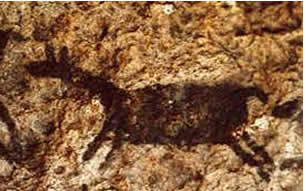 Felsbilder von Chaqatira