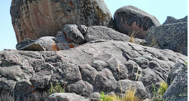 Steinwald aus riesigen, ovoid geformten Felsen