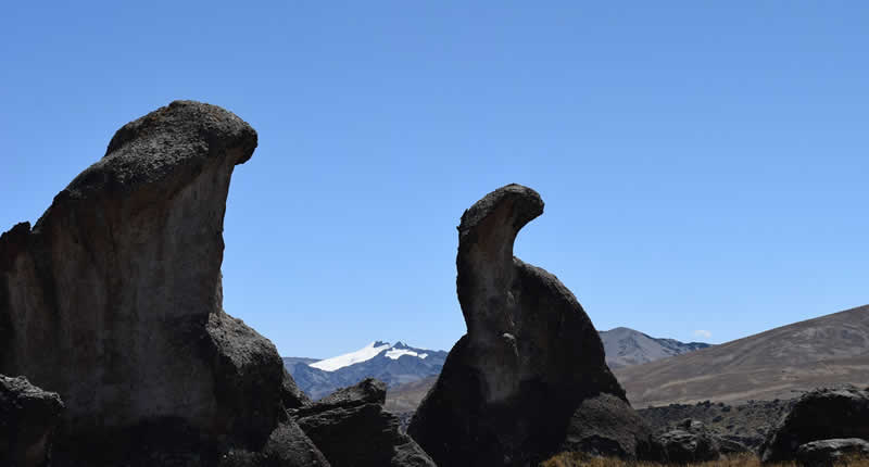 Form eines Brontosauriers