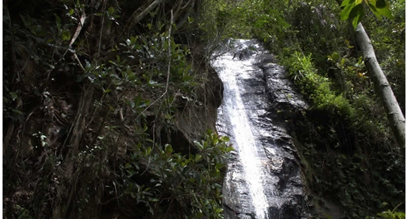 Cascada Botijani nahe San Juan de Oro im Regenwald von Sandia
