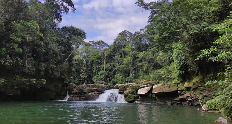 Naturbecken in der Selva Baja von Palcazú