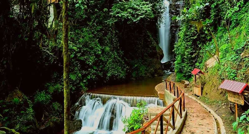Der Río Tigre Waserfall – Naturparadies nahe Oxapampa