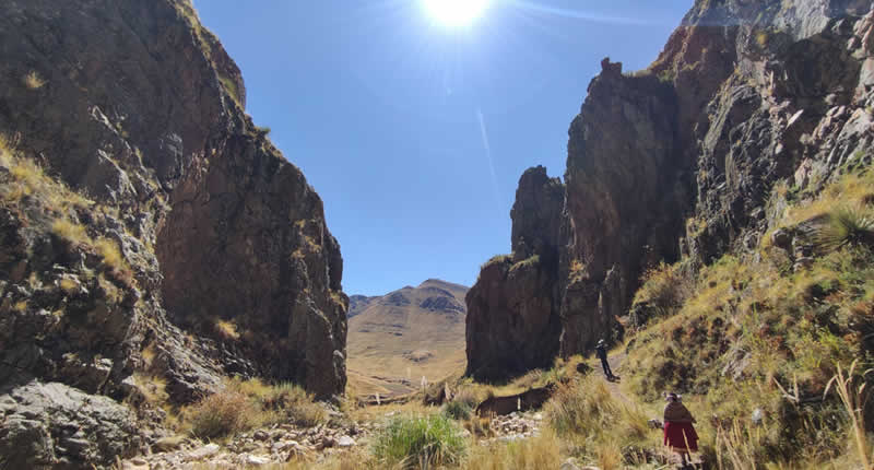 Steinwald auf über 4.000 Metern Höhe