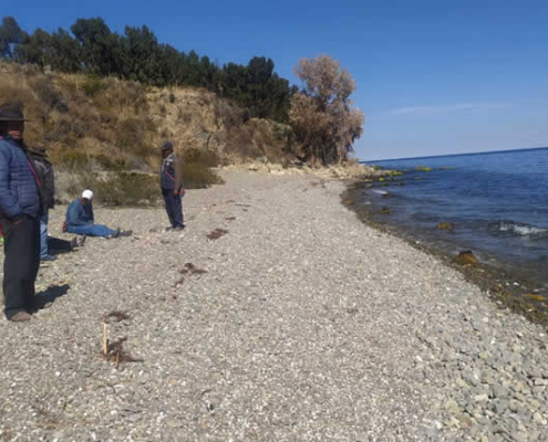 Isla Soto: Andines Inselheiligtum bei Conima im Titicacasee Isla Soto: Andines Inselheiligtum bei Conima im Titicacasee