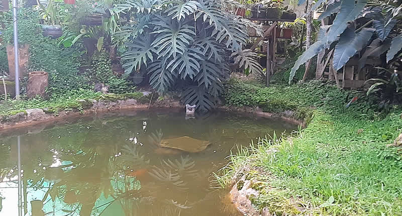 Jardín Botánico Los Ositos – Orchideen- und Pflanzenparadies in Villa Rica