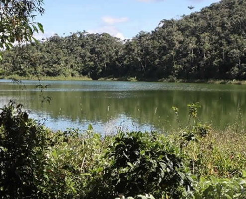 Laguna Consuelo – Verborgene Regenwaldlagune bei San Pedro de Putina Punco Laguna Consuelo – Verborgene Regenwaldlagune bei San Pedro de Putina Punco