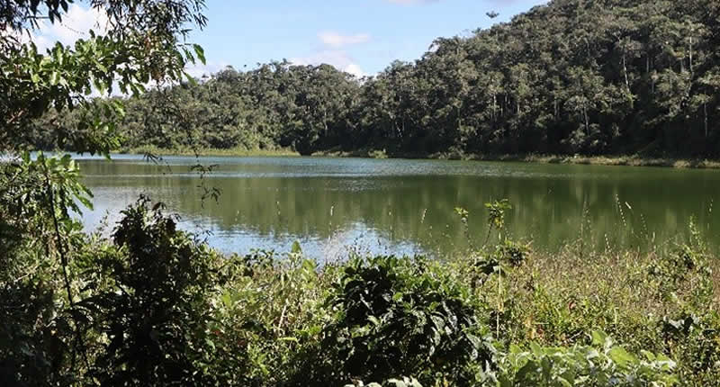 Laguna Consuelo – Verborgene Regenwaldlagune bei San Pedro de Putina Punco