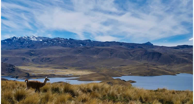 Laguna Lagunillas