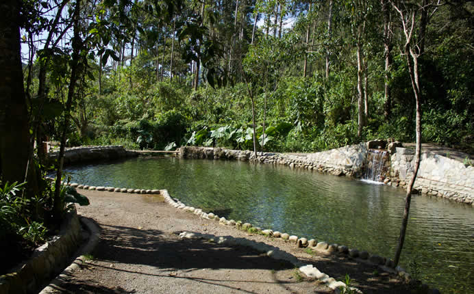 Mythischer Wasserquell in der Yunga-Landschaft