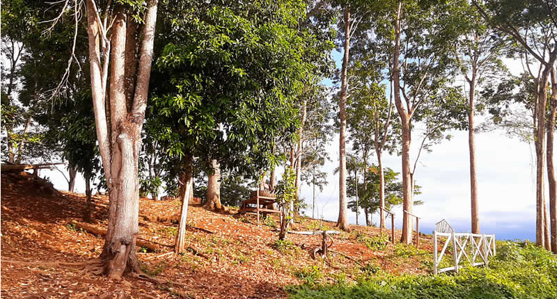 Mirador Las Lomas Iscozacín