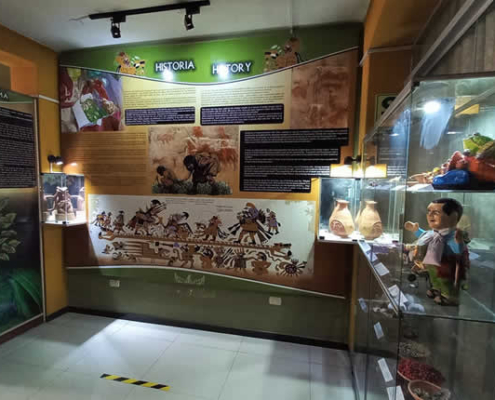 Museo de la Coca y Costumbres in Puno – Heilige Blätter und lebendige Traditionen Museo de la Coca y Costumbres in Puno – Heilige Blätter und lebendige Traditionen