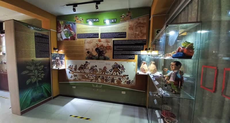 Museo de la Coca y Costumbres in Puno – Heilige Blätter und lebendige Traditionen