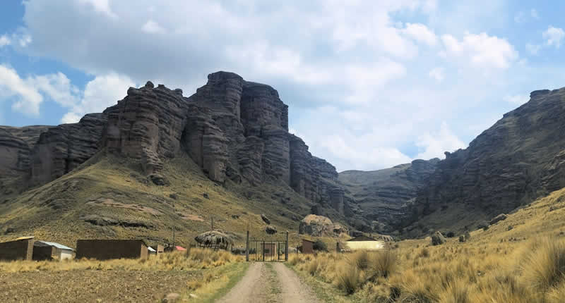 Paraíso Natural de Keñuacuyo – Cañón, Keñua-Wald und Andenkultur bei Ayaviri