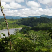 Parque Nacional Bahuaja Sonene – Maravilla amazónica entre Puno y Madre de Dios