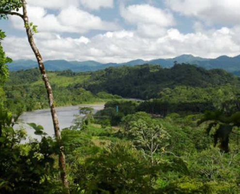 Nationalpark Bahuaja Sonene – Unberührter Regenwald zwischen Anden und Amazonas Nationalpark Bahuaja Sonene – Unberührter Regenwald zwischen Anden und Amazonas