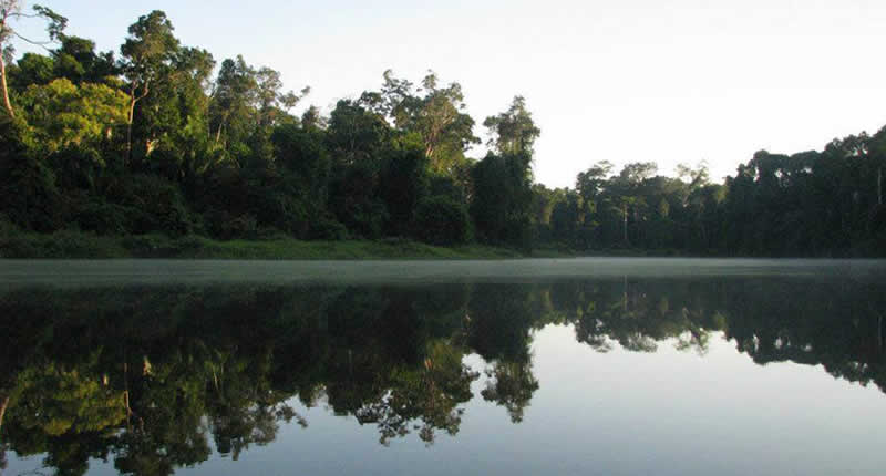 Parque Nacional Bahuaja Sonene im Amazonasgebiet von Puno und Madre de Dios