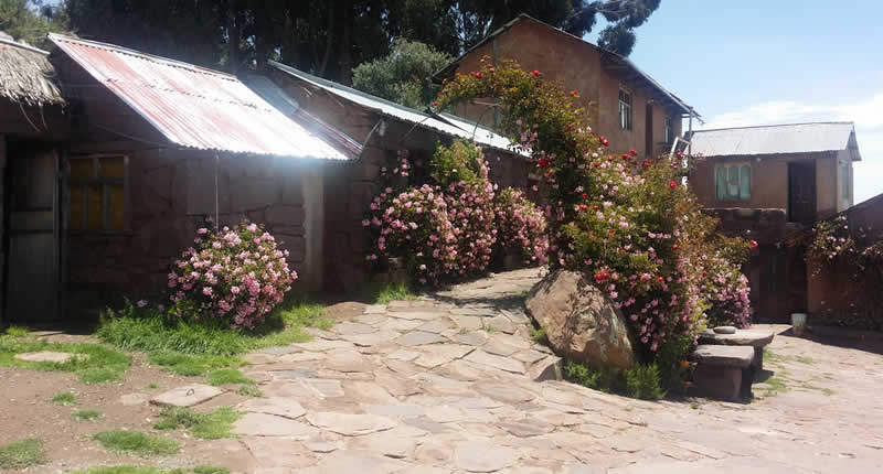 Leben auf der Halbinsel