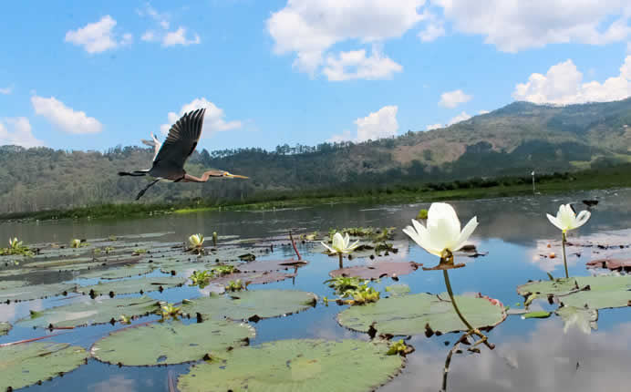 Laguna El Oconal en Villa Rica