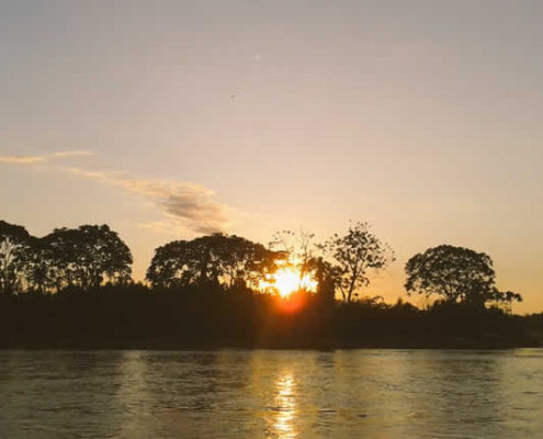 Reserva de Biosfera Oxapampa-Asháninka-Yánesha: tesoro natural y cultural en Pasco Reserva de Biosfera Oxapampa-Asháninka-Yánesha: tesoro natural y cultural en Pasco
