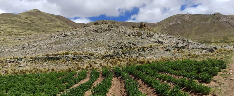 Hügel mit präinkaischen Grabtürmen