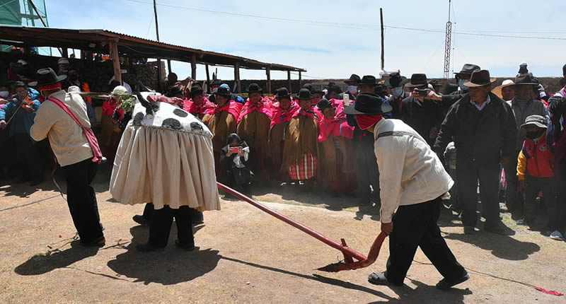 Chuspi Chuspi - Aymarisches Agrarritual