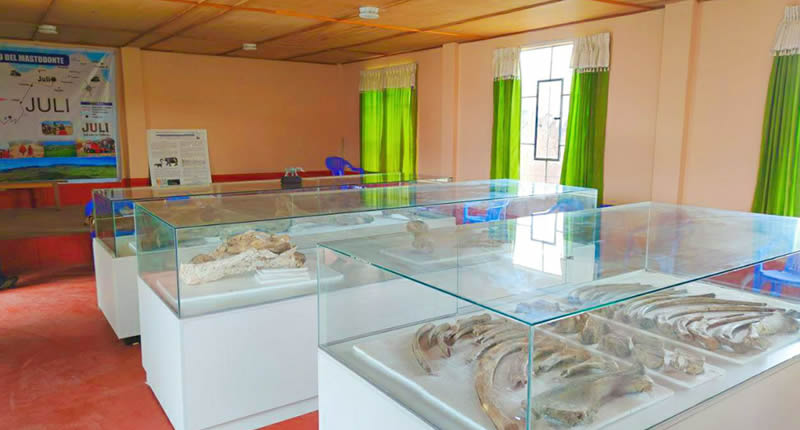 Paläontologische Fundstätte bei der Stadt Juli am Titicacasee