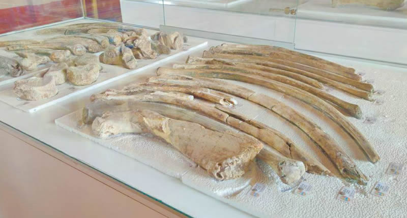 Ausstellung in der Schule von Choccocconiri