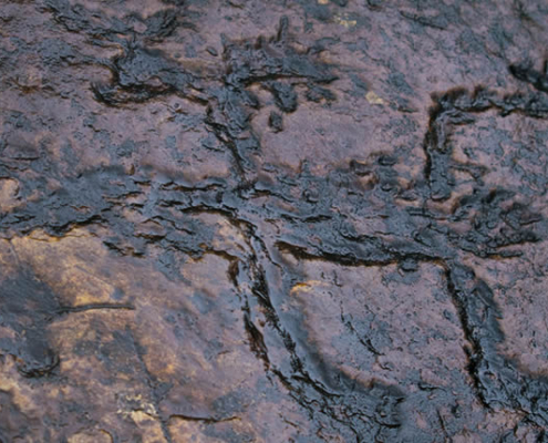 Petroglifos de Boca Chaqui Mayu cerca de San Gabán Petroglifos de Boca Chaqui Mayu cerca de San Gabán