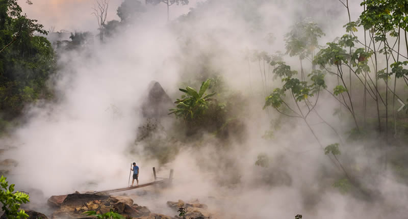 Heilpflanzen am Shanay Timpishka