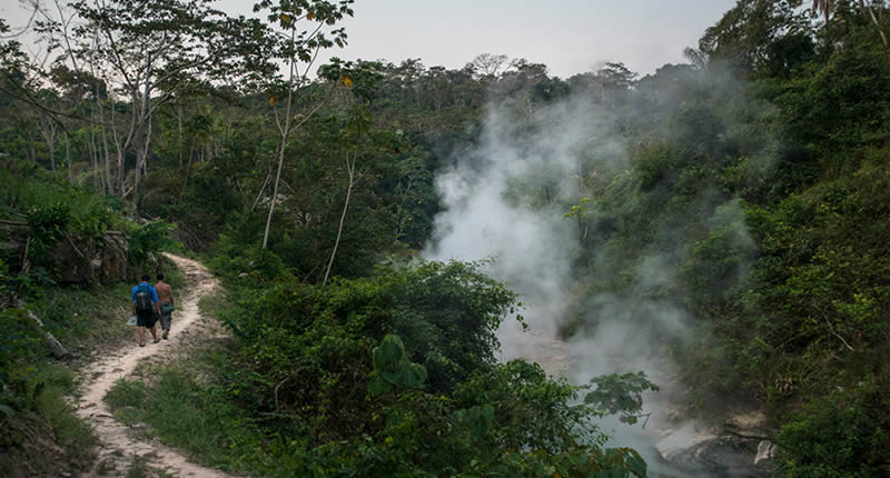 Dampfender Regenwald
